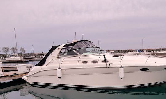 Charter this beautiful 41' SeaRay Sundancer 370 Yacht