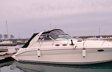 Charter this beautiful 41' SeaRay Sundancer 370 Yacht