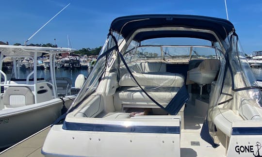 32' Bayliner Avanti for up to 12 people