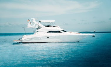 Beautiful 51' Sea Ray Motor Yacht in Cancún