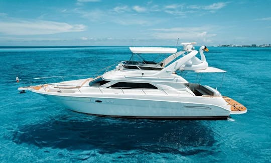 Hermoso yate a motor Sea Ray de 51 pies en Cancún