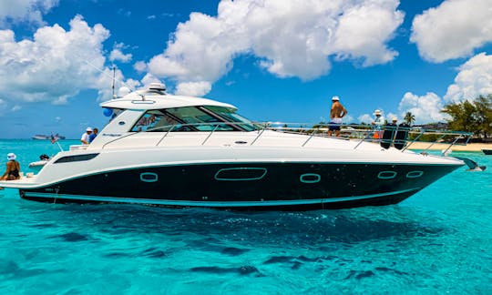 SEA RAY 50 Yacht Charter in Miami