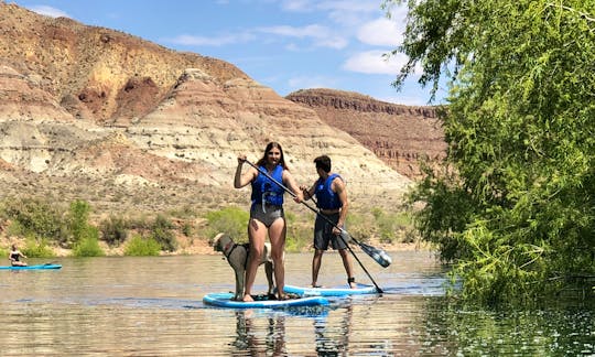 Guided stand up paddleboard tour