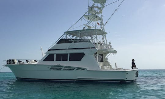 65ft Hatteras Luxury Motor Yacht up to 28 pax in Cancún, Quintana Roo