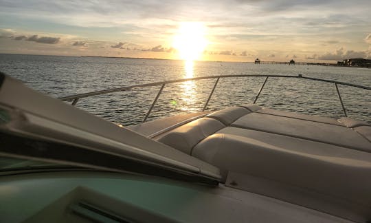 Enjoy SWF from the water, Explore on "Aloha Kai" 31' Doral Cruiser!