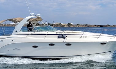 Luxury 45' Express Bay Cruiser for your party in San Diego, California