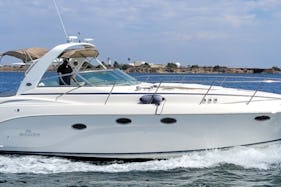 Luxury 45' Rinker 370 Express Bay Cruiser for your party in San Diego, California