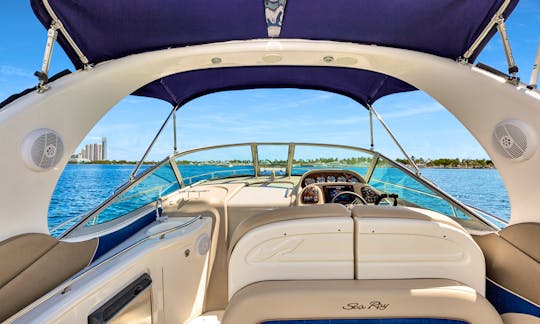 Searay Sundancer 33 FT Motor Yacht Miami and Bimini Rental