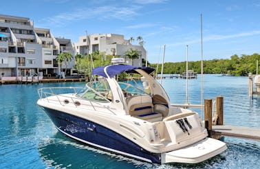 Searay Sundancer 33 FT Motor Yacht Miami and Bimini Rental