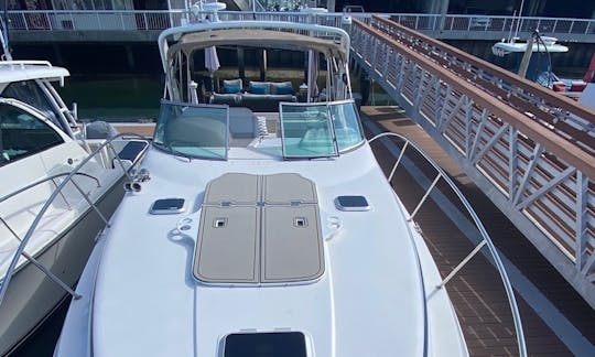 Croisière Express Bay Cruiser de luxe de 45 pieds pour votre fête à San Diego, en Californie