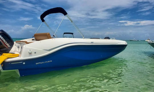 20ft. '22 Bayliner DX2000 Boat Rental in Anna Maria Island, Florida