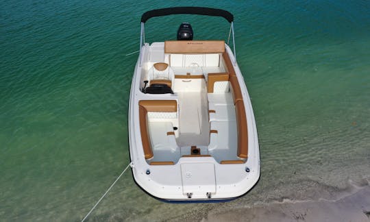 20ft. '22 Bayliner DX2000 Boat Rental in Anna Maria Island, Florida
