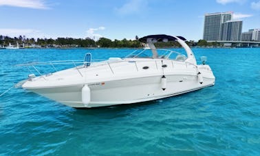 Yacht à moteur Sea Ray Sundancer de 38 pieds à Fort Lauderdale