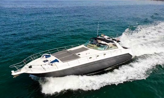 Spacious & Socially Designed Sundancer 500 Motor Yacht In Puerto Vallarta, Jalisco