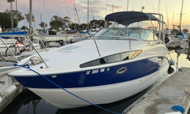 Bayliner in San Diego 6 person party Mini Yacht