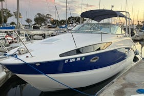Bayliner in San Diego 6 person party Mini Yacht