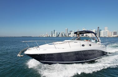 Beautiful 40' Sea Ray Motor Yacht in Miami/Miami Beach/Downtown
