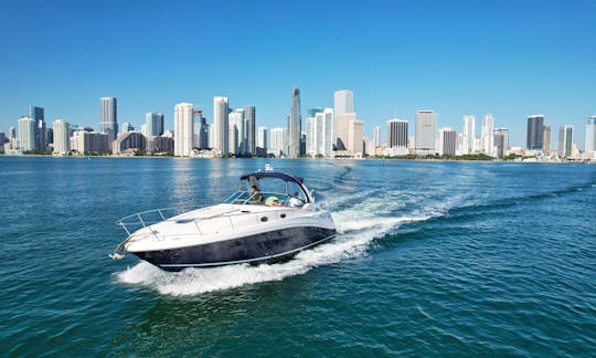 Beautiful 40' Sea Ray Motor Yacht in Miami/Miami Beach/Downtown