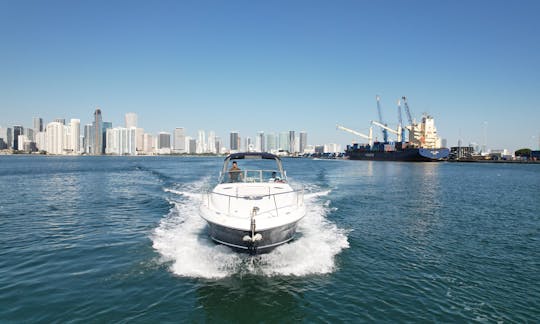 Beautiful 40' Sea Ray Motor Yacht in Miami/Miami Beach/Downtown