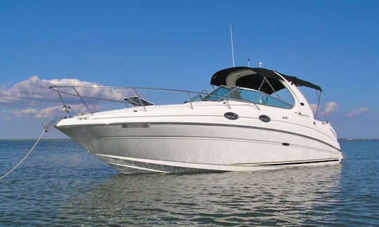 Feel The Luxurious Experience Aboard Our 31' Sea Ray Sundancer Yacht