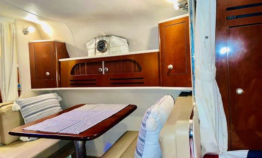 Feel The Luxurious Experience Aboard Our 31' Sea Ray Sundancer Yacht