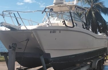 26' Worldcat Power Catamaran for rent in Lahaina, Maui