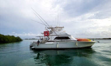 Great 50ft Bertram Private Yacht For Rent In Curacao