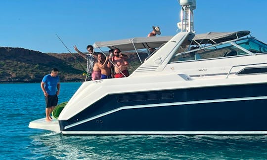 Searay 50 Motor Yacht  to Balandra Beach & Isla Espiritu Santo