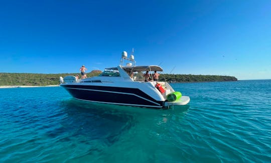 Searay 50 Motor Yacht  to Balandra Beach & Isla Espiritu Santo