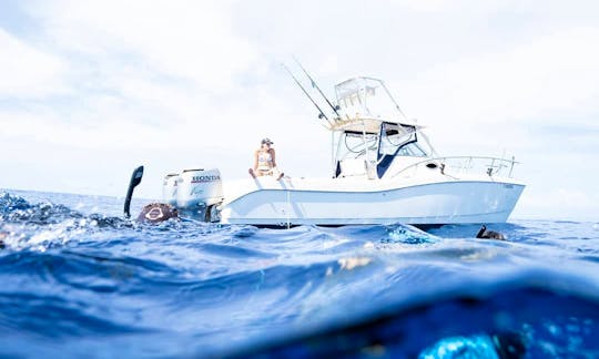26' Worldcat Power Catamaran for rent in Lahaina, Maui