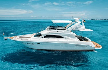 Sea Ray Flybridge 50ft Yacht with INFLATABLES in Cancun
