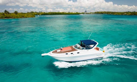 Sea Ray de 40 pés - 1 HORA GRATUITA DE JET SKI DE SEGUNDA A QUINTA-FEIRA