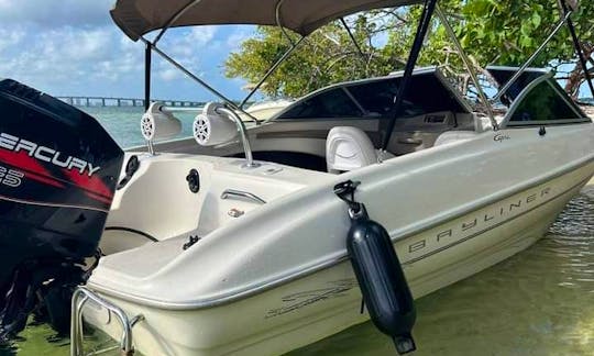 19ft Bayliner for rent in Miami! Islands! Parking Available!