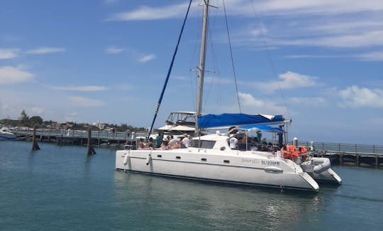 Custom Catamaran with food and open bar 