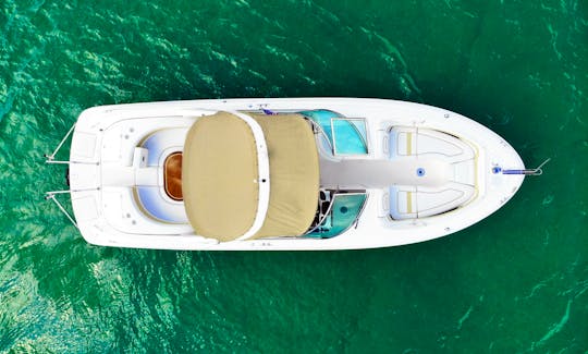 Open Cruiser for Rent in Miami Beach
