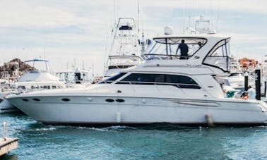 Cabo Yacht Rental Charter - Sea Ray 50 Ft - Available Boat In Cabo San Lucas