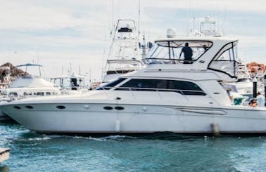 Cabo Yacht Rental Charter - Sea Ray 50 Ft - Available Boat In Cabo San Lucas