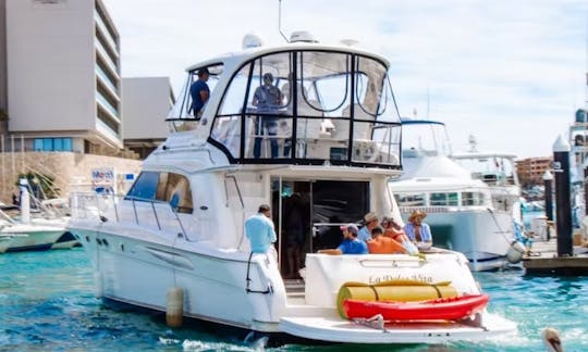 Cabo Yacht Rental Charter - Sea Ray 50 Ft - Available Boat In Cabo San Lucas