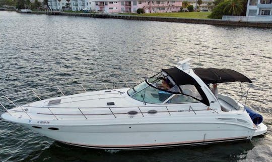 PROFITEZ DE MIAMI À BORD D'UN SEA RAY SUNDANCER DE 43 PIEDS