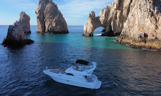 Local Boy yacht 44 ft Cabo San Lucas, Mexico