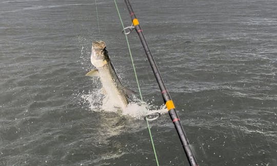 Tarpon & Snook Fishing Charter 