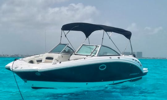 27ft Chaparral - MA - Up To 10 people In Cancún, Quintana Roo