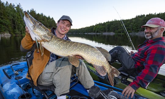 Pesca de lúcio com guia perto de Gotemburgo, Suécia