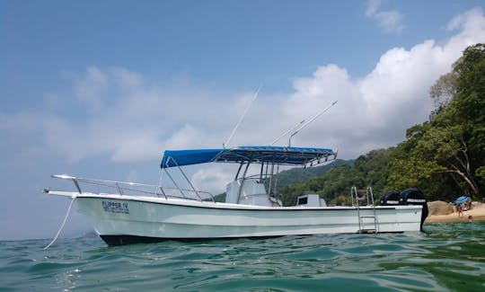 Nuevo Vallarta Fishing Flipper IV