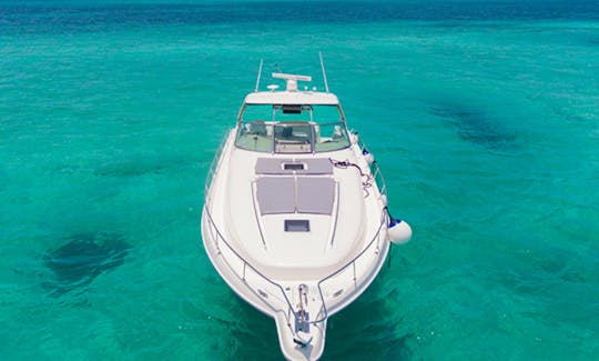 46 pés - Sea Ray Sundancer - DSTNY - Até 15 pessoas em Cancún, México