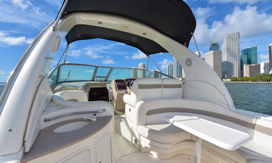 Enjoy MIAMI on a BOAT! 36' Sea Ray Sundancer - Motor Yacht - Best Price in Miami, Miami Beach, Bayside Miami and South Florida