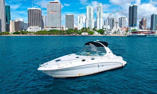 36ft Sea Ray Sundancer Yacht - Miami Downtown. Cruise Miami on a boat for your perfect vacation