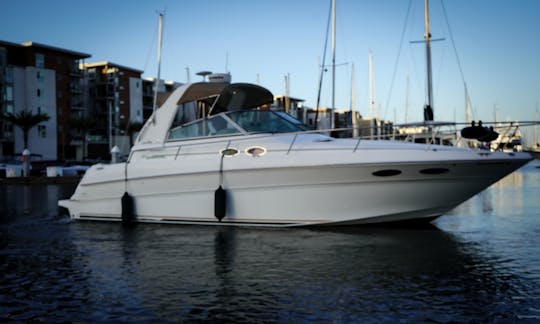 Yacht de luxe Sea Ray Sundancer de 36 pieds à Marina Del Rey