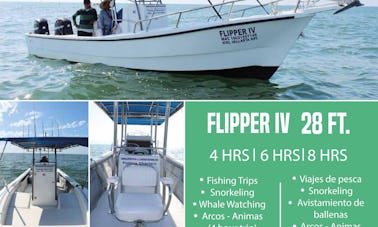 Nuevo Vallarta Fishing Flipper IV