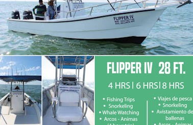 Nuevo Vallarta Fishing Flipper IV